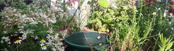 image procrastination