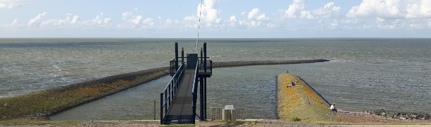 image Nobody, by Alice Oswald