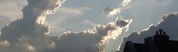 image short story friduwih riemersma