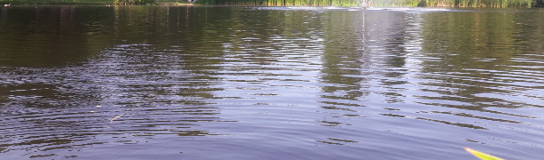 image Human relations and other difficulties, by Mary-Kay Wilmers